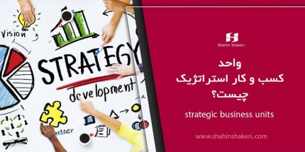 SBU یا واحد کسب و کار استراتژیک چیست؟
